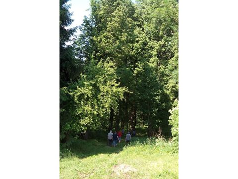Foto 53